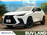 電動リアゲート レザーシート 100V電源 前席シートエアコン