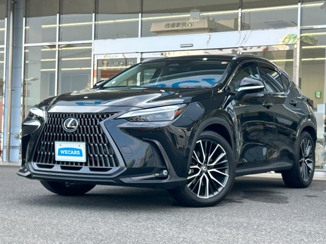 NX 250 バージョンL 