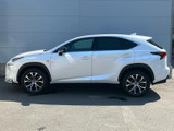 NX 300h Fスポーツ 4WD 