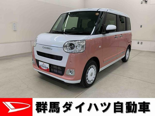 ムーヴキャンバス ストライプス G