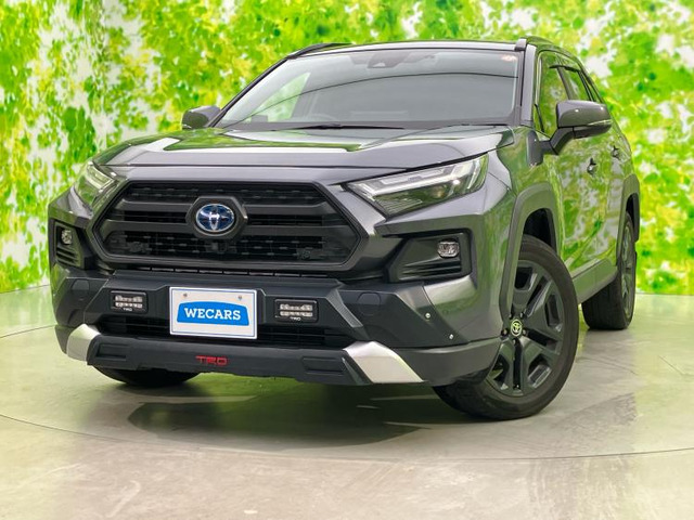 RAV4 2.5 ハイブリッド アドベンチャー E-Four 4WD 