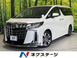 サンルーフ モデリスタエアロ 両側電動ドア BIGX 後席モニター
