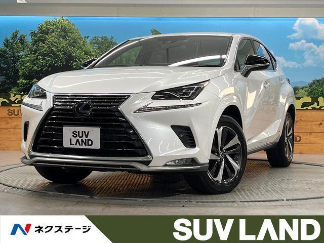 NX 300h スパイス&シック 