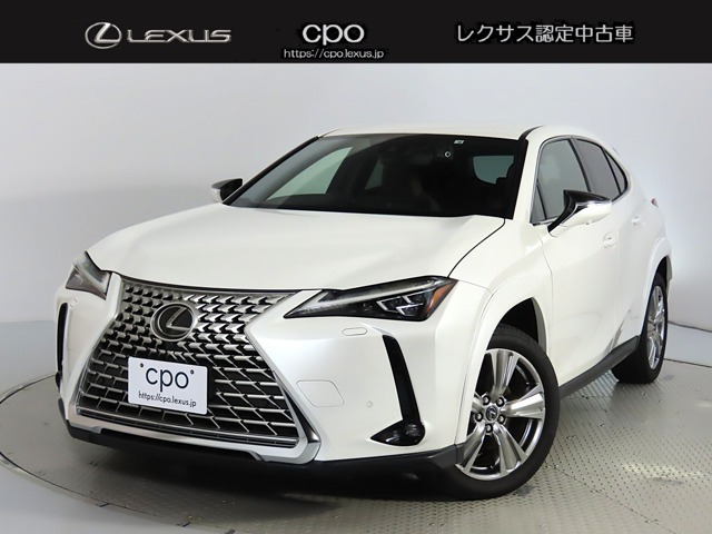 UX 250h グレイスフル エクスプローラー 