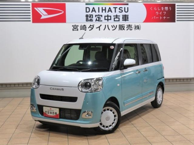 ムーヴキャンバス  ストライプス G