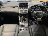 NX 300 ブロンズ エディション 特別仕様車