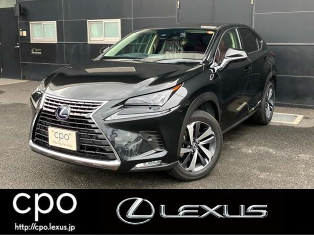 NX 300h バージョンL 
