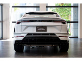 Body Color Style Package with front splitter