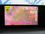 ネットでの注文OK 自宅までの納車OK お気軽にお電話お待ちしております。