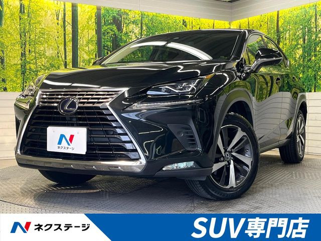 NX 300h Iパッケージ 