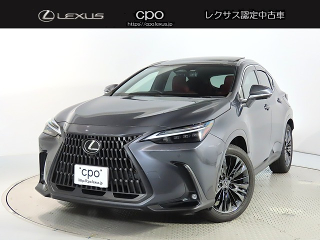 NX 250 バージョンL NX 250 バージョンL