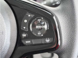 【アダプティブクルーズコントロール】予め設定した車速内でクルマが自動的に加減速。前走車との適切な車間距離を維持しながら追従走行します。【LKAS】車線維持支援システムでステアリング操作を支援。