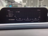 i-DM(インテリジェント・ドライブ・マスター)は運転操作の無駄を抑えたスムーズな運転をサポートし、快適なドライブや燃料消費を抑える事にも役立つアイテムです。