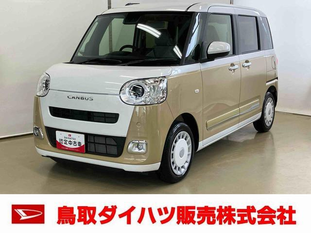 ムーヴキャンバス  ストライプス G