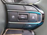 当社の売約車両はネット上からすぐ削除をしていますが数時間から1日の時間差が生じます。念のため事前にお電話もしくは当サイトでアクセスをして頂けるとより間違えの無いご提案が出来ますので合わせてご検討下さい