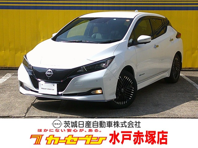 リーフ e+ G 