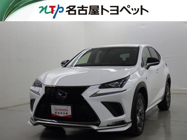 NX 300 Fスポーツ （DBA-AGZ10）