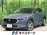 禁煙車 純正8.8型ナビ 全周囲カメラ 衝突軽減装置 レーダークルーズ