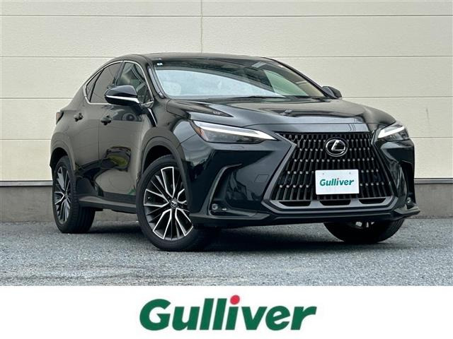 NX 250 バージョンL 本革シート サンルーフ