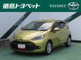 人気のブラスゴールドメタリックが入庫しました!