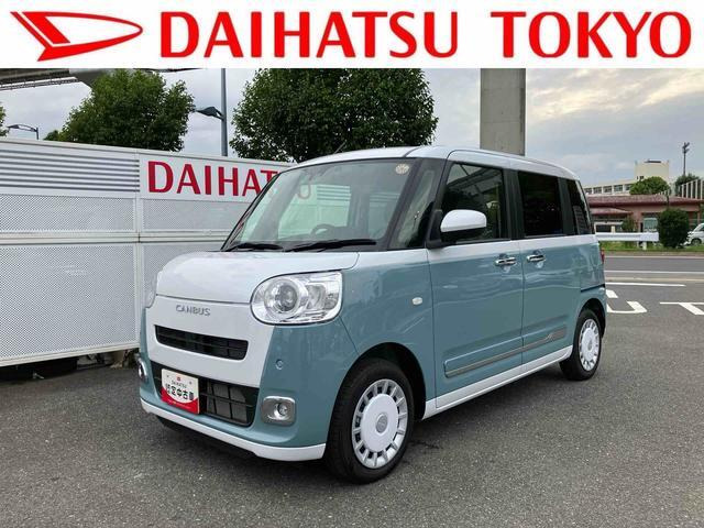 ムーヴキャンバス  ストライプス G