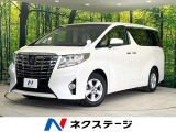 レーダークルーズ バックカメラ ETC Bluetooth フルセグ