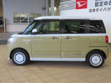 ムーヴキャンバス  ストライプス G