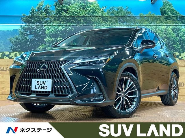 NX350h バージョンL