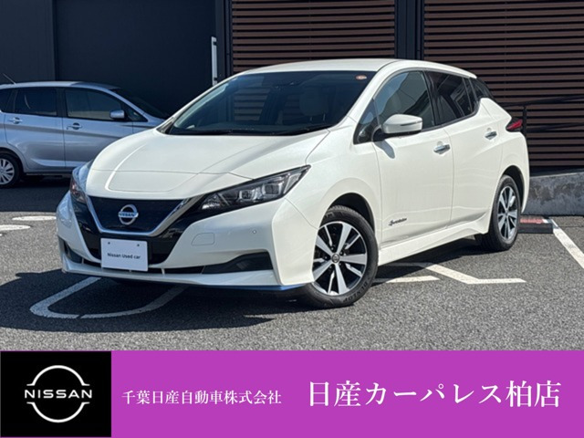 リーフ e+ X 