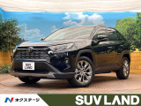 サンルーフ 純正10型ナビ レーダークルーズ パワーバックドア