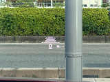 ヘッドアップディスプレイは運転者の視線を維持したまま速度や標識の確認をすることが出来ます。
