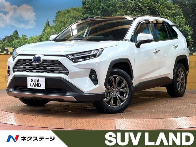 RAV4 2.5 ハイブリッド G E-Four 4WD （6AA-AXAH54）