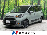 両側電動ドア 全周囲カメラ セーフティセンス 100V電源