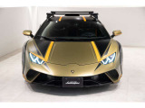 Sterrato Livery on Front Bonnet and Roof