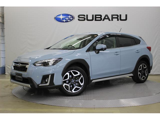 XV  