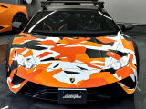 オールテレイン アド・ペルソナム/世界限定12台/正規輸入日本に1台のTERRA/Livery1・2/Lamborghini Telemetry/Titanium rear arch/Orange CCB Brakes Calipers