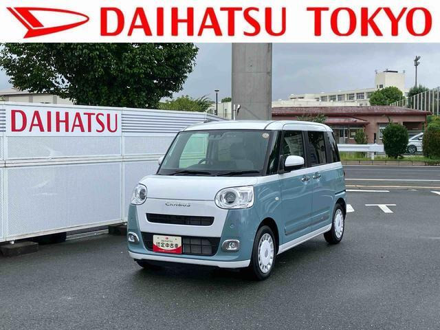 ムーヴキャンバス  ストライプス G