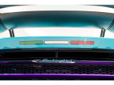 Italian Flag on body rear upper part