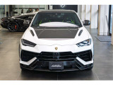 Bonnet in visible Carbon fiber Shiny