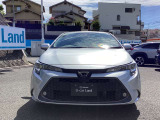 精悍な顔つきです