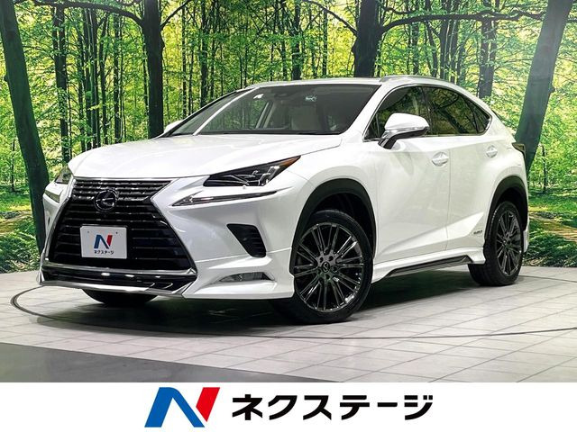 NX 300h バージョンL 