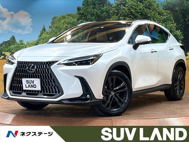 NX 350h バージョンL 