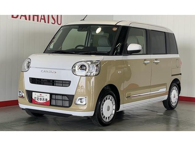 ムーヴキャンバス  ストライプス G