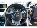 NX 300 Fスポーツ 4WD メーカーナビ 全方位カメラ 衝突軽減ブレ