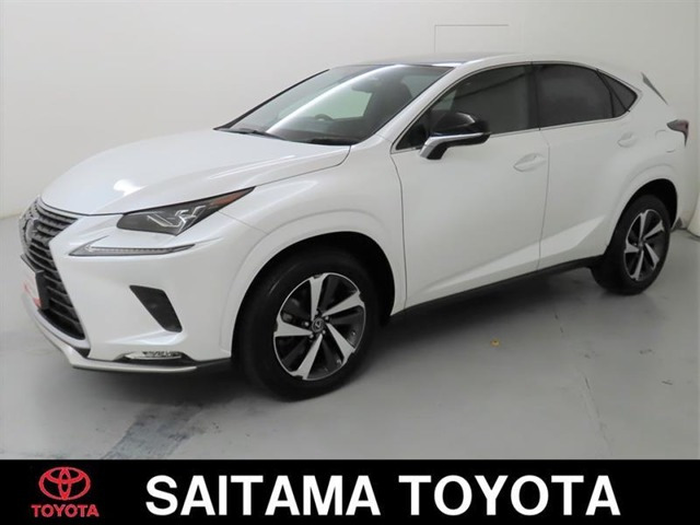 NX300スパイス&シック