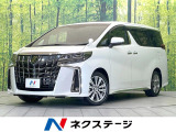 サンルーフ 後席モニター 両側電動ドア 電動リアゲート
