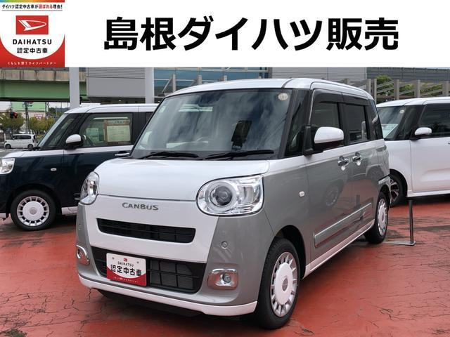 ムーヴキャンバス  ストライプス G