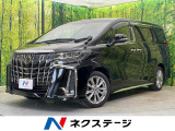 両側電動ドア 後席モニター バックカメラ 衝突被害軽減システム