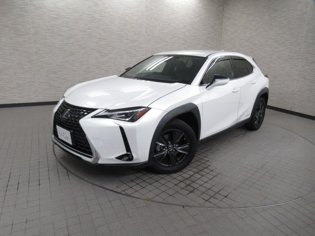 UX 250h バージョンC 