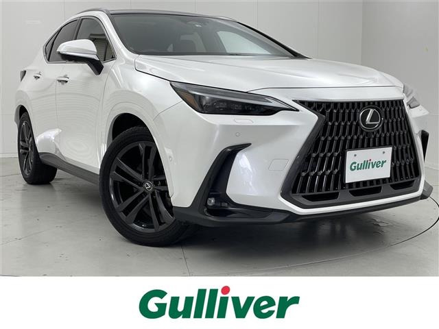 NX 350h バージョンL 本革シート サンルーフ